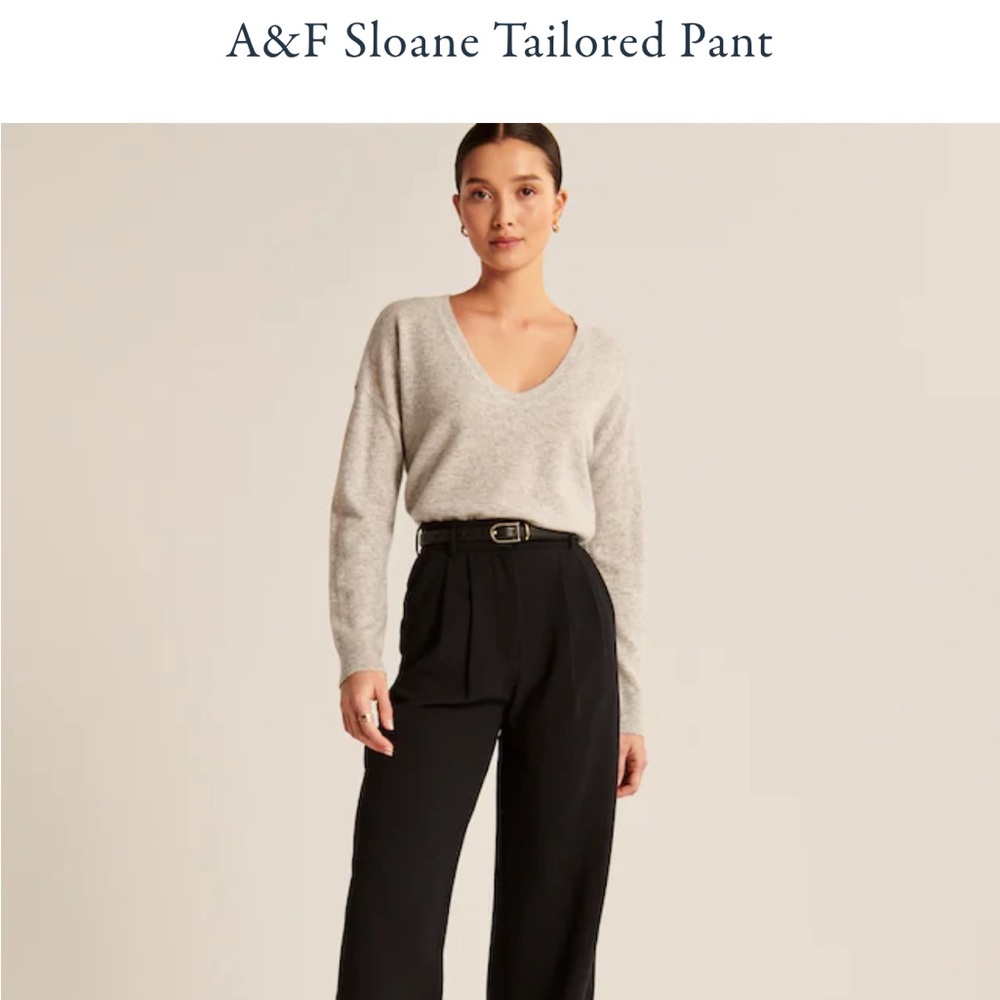 Abercrombie Sloane Tailored Pant Small